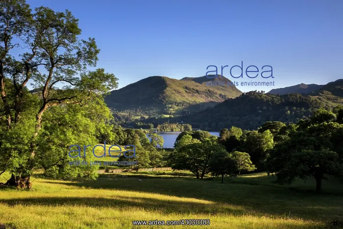  : Ullswater - Lake District - UK