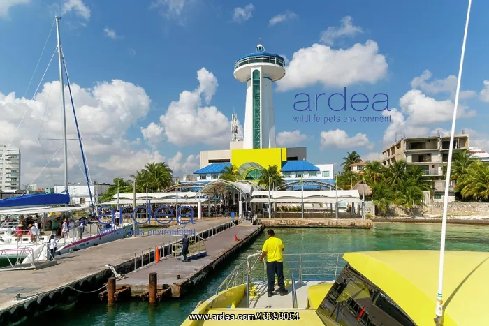 : Ultramar ferry terminal at Puerto Juarez, Cancun : Ultramar ferry terminal at Puerto Juarez, Cancun