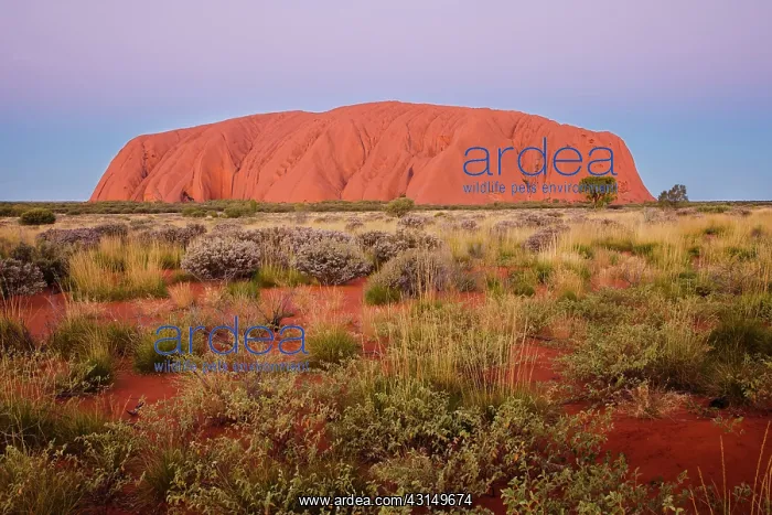  : Uluru