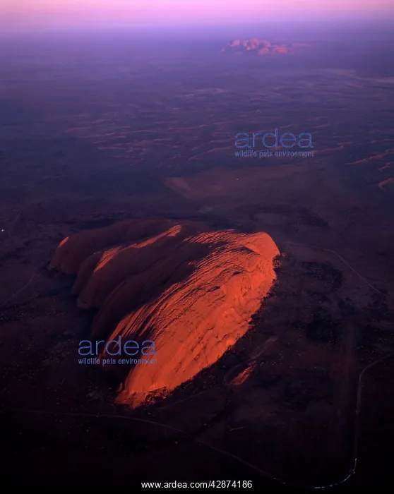 : Uluru (Ayers Rock) at sunrise, aerial image : Uluru (Ayers Rock) at sunrise, aerial image