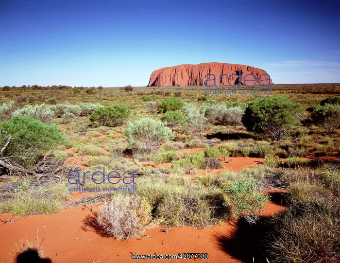  : Uluru  /  Ayers Rock - Uluru-Kata Tjuta National