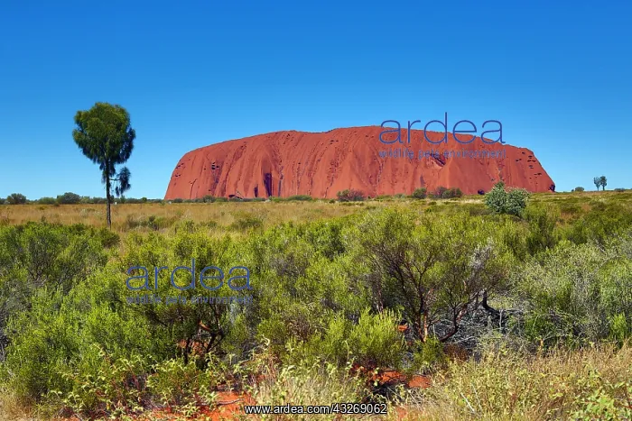 : Uluru, Ayers Rock, Uluru-Kata Tjuta National Park : Uluru, Ayers Rock, Uluru-Kata Tjuta National Park