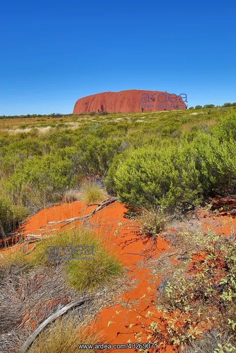 : Uluru, Ayers Rock, Uluru-Kata Tjuta National Park : Uluru, Ayers Rock, Uluru-Kata Tjuta National Park