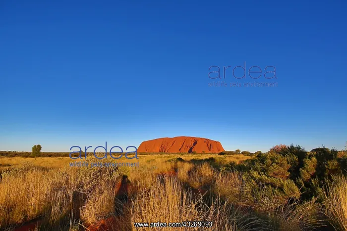 : Uluru, Ayers Rock, Uluru-Kata Tjuta National Park : Uluru, Ayers Rock, Uluru-Kata Tjuta National Park