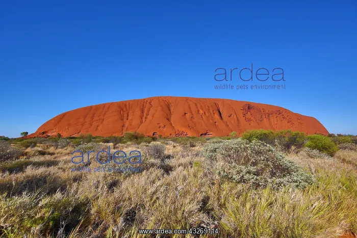 : Uluru, Ayers Rock, Uluru-Kata Tjuta National Park : Uluru, Ayers Rock, Uluru-Kata Tjuta National Park