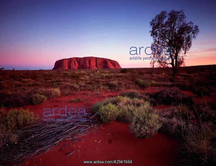 : Uluru (Ayers Rock).at sunset. Uluru-Kata Tjuta : Uluru (Ayers Rock).at sunset. Uluru-Kata Tjuta