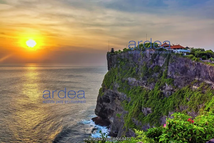 : Uluwatu Temple is one of Bali's most important spiritual : Uluwatu Temple is one of Bali's most important spiritual