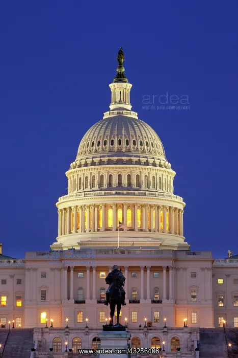 : Ulysses S. Grant statue and the US Capitol : Ulysses S. Grant statue and the US Capitol