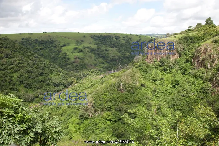 : Umgeni Valley - Howick Kwa-Zulu Natal - South Africa : Umgeni Valley - Howick Kwa-Zulu Natal - South Africa