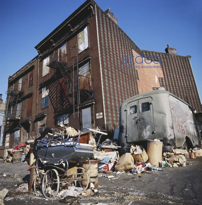 : Uncollected Garbage : Uncollected Garbage