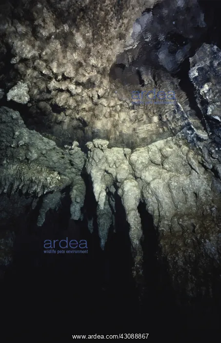 : Underwater Cave : Underwater Cave