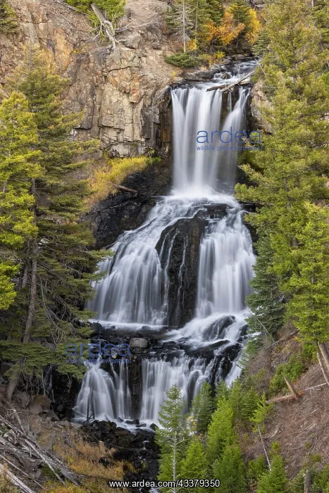 : Undine Falls, Yellowstone National Park, Wyoming : Undine Falls, Yellowstone National Park, Wyoming