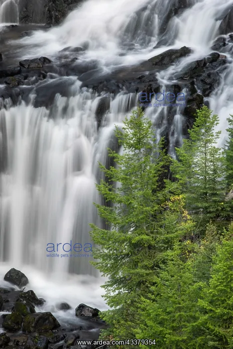 : Undine Falls, Yellowstone National Park, Wyoming : Undine Falls, Yellowstone National Park, Wyoming