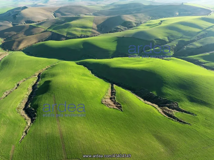 : Undulated farmland and cracks caused by streams : Undulated farmland and cracks caused by streams
