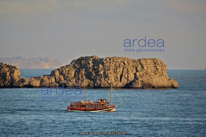 : UNESCO, Vietnam, Cat Ba National Park and : UNESCO, Vietnam, Cat Ba National Park and