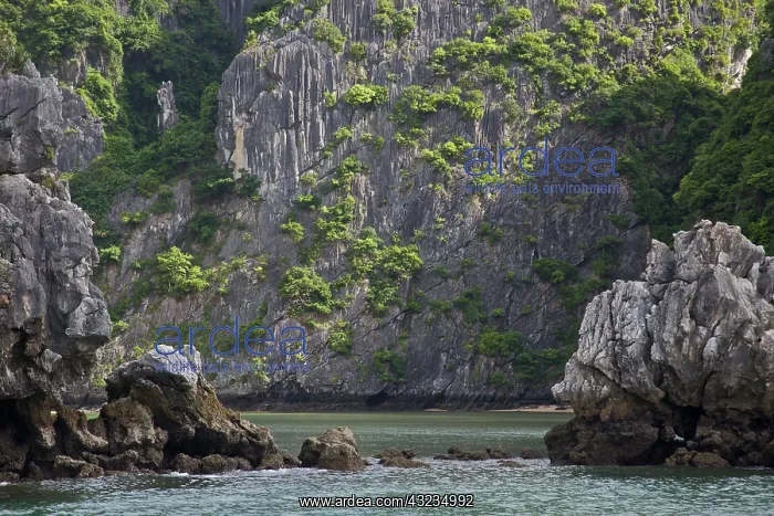 : UNESCO, Vietnam, Cat Ba National Park, Archipelago : UNESCO, Vietnam, Cat Ba National Park, Archipelago