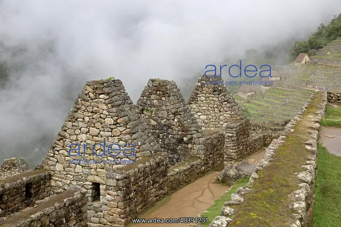 : The UNESCO World Heritage Site Machu Picchu in Peru : The UNESCO World Heritage Site Machu Picchu in Peru