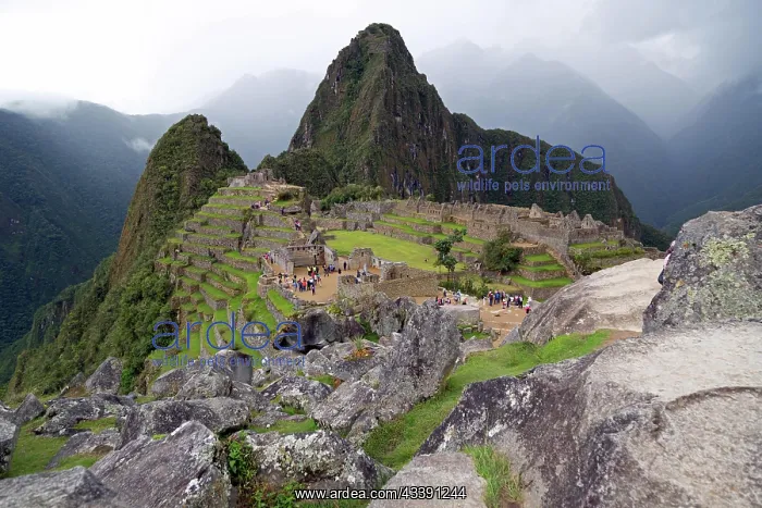 : The UNESCO World Heritage Site Machu Picchu in Peru : The UNESCO World Heritage Site Machu Picchu in Peru