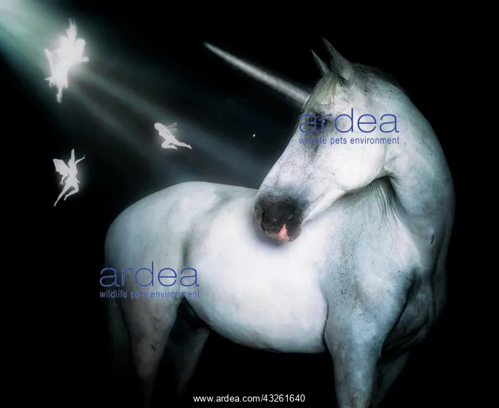 : Unicorn : Unicorn