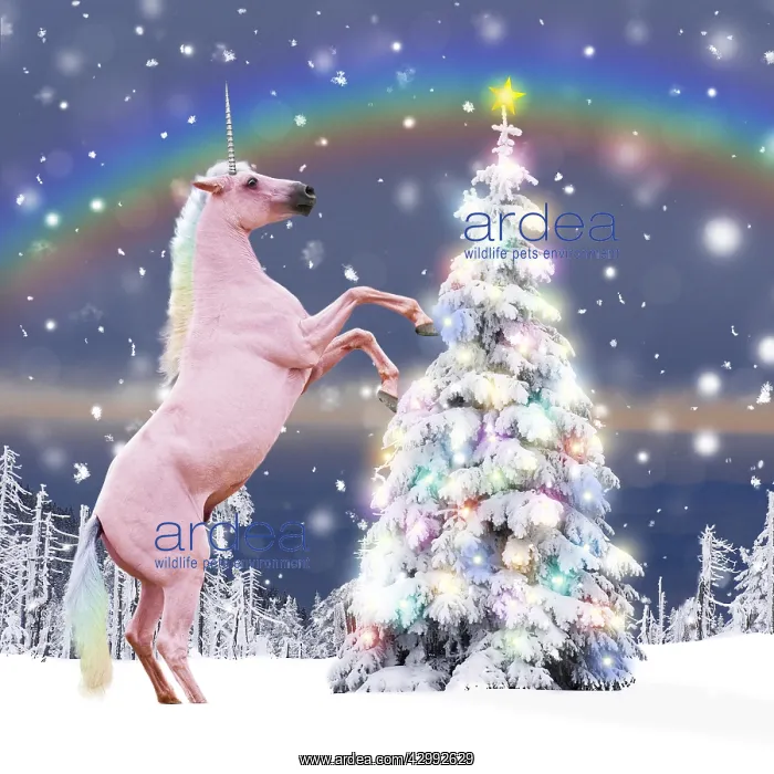 : Unicorn and Christmas Tree with Christmas lights : Unicorn and Christmas Tree with Christmas lights