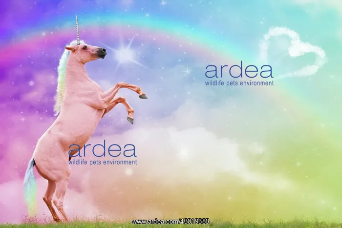 : Unicorn - rearing : Unicorn - rearing