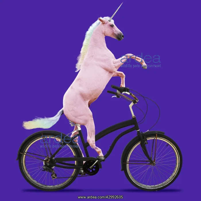 : Unicorn, riding a bike : Unicorn, riding a bike