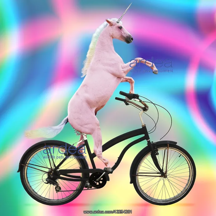 : Unicorn, riding a bike : Unicorn, riding a bike