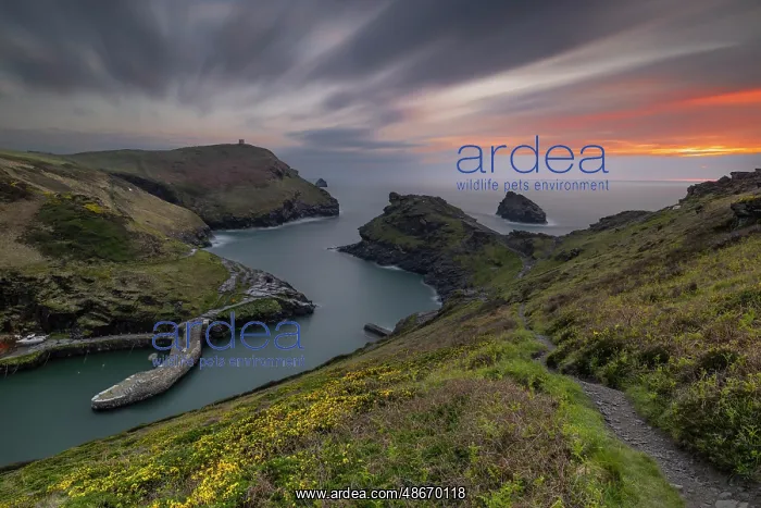 : United Kingdom, England, Cornwall. Boscastle, Sunset at : United Kingdom, England, Cornwall. Boscastle, Sunset at