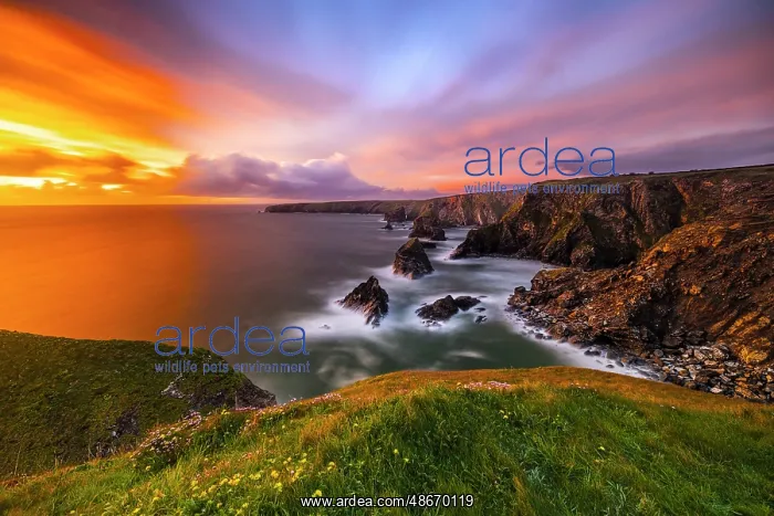 : United Kingdom, England, Cornwall. Carnewas, The Cove at : United Kingdom, England, Cornwall. Carnewas, The Cove at