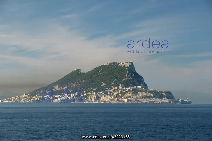: United Kingdom, Iberian Peninsula, Rock : United Kingdom, Iberian Peninsula, Rock