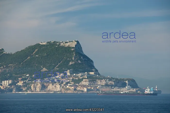 : United Kingdom, Iberian Peninsula, Rock : United Kingdom, Iberian Peninsula, Rock