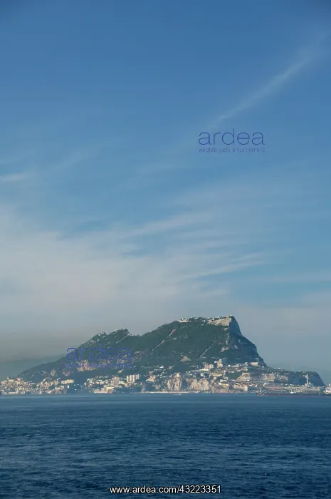 : United Kingdom, Iberian Peninsula, Rock : United Kingdom, Iberian Peninsula, Rock