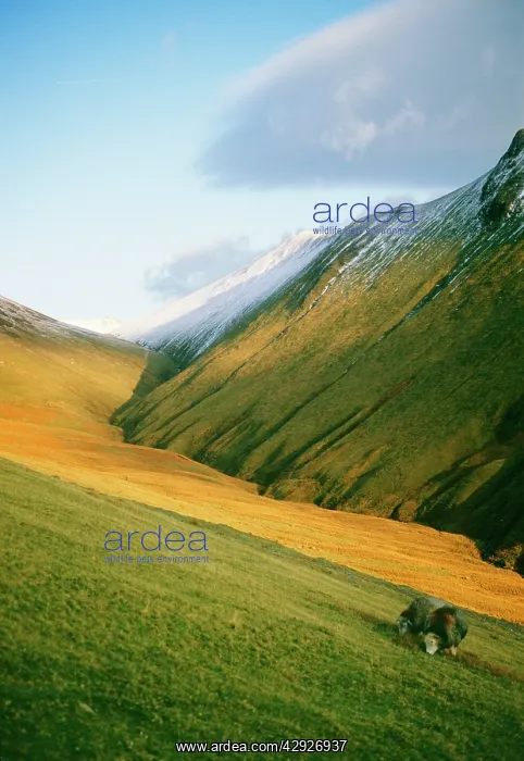 : UNITED KINGDOM - Lake District : UNITED KINGDOM - Lake District