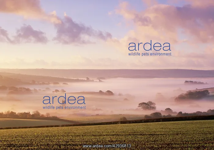  : United Kingdom - misty valley with church & clouds