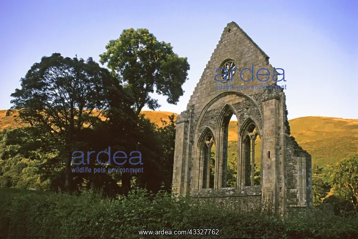 : United Kingdom, North Wales, Llangollen : United Kingdom, North Wales, Llangollen