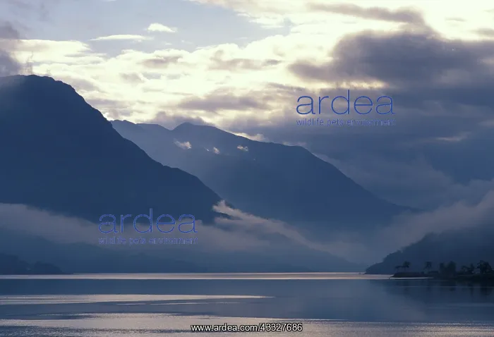 : United Kingdom, Scotland. Loch Duich : United Kingdom, Scotland. Loch Duich