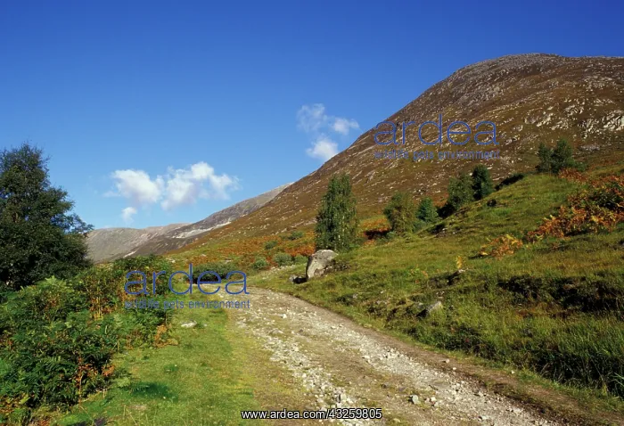 : United Kingdom, Scotland, Loch Leven. West : United Kingdom, Scotland, Loch Leven. West