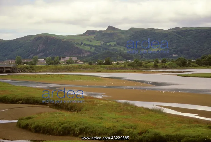 : United Kingdom, Wales. Scenic landscape : United Kingdom, Wales. Scenic landscape