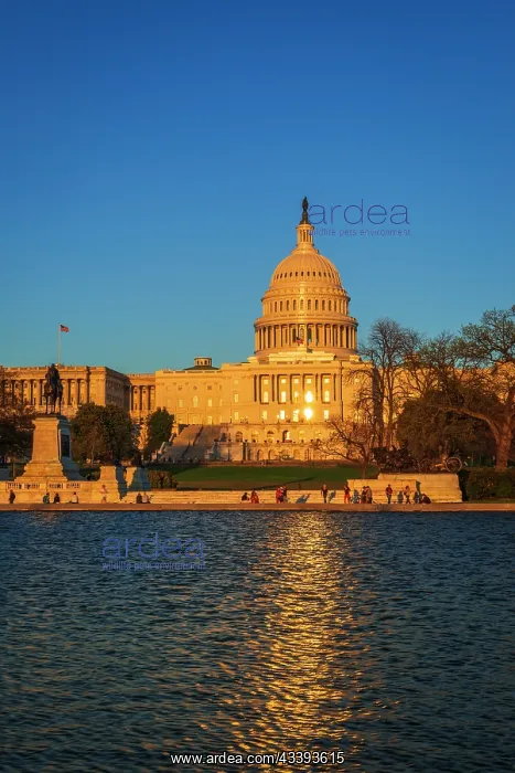: The United States Capitol, Washington, D.C, USA : The United States Capitol, Washington, D.C, USA