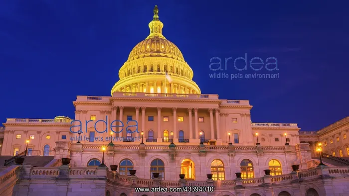 : The United States Capitol, Washington, D.C, USA : The United States Capitol, Washington, D.C, USA