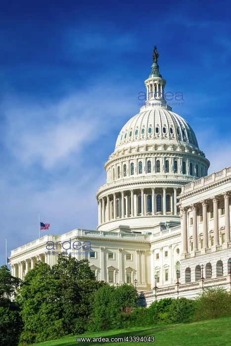 : The United States Capitol, Washington, D.C, USA : The United States Capitol, Washington, D.C, USA