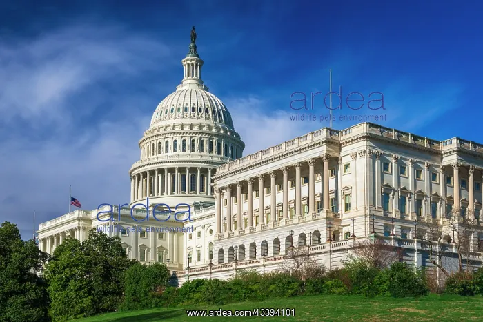 : The United States Capitol, Washington, D.C, USA : The United States Capitol, Washington, D.C, USA