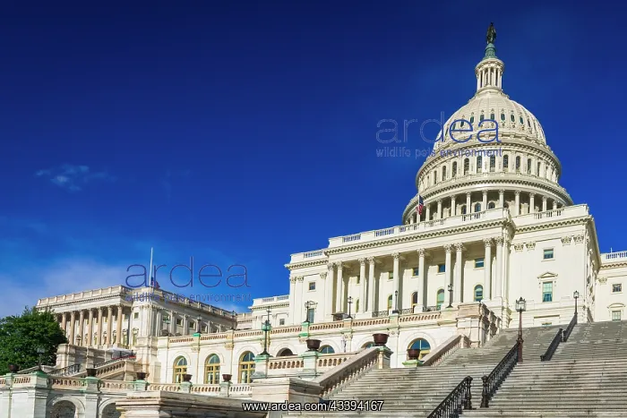 : The United States Capitol, Washington, D.C, USA : The United States Capitol, Washington, D.C, USA