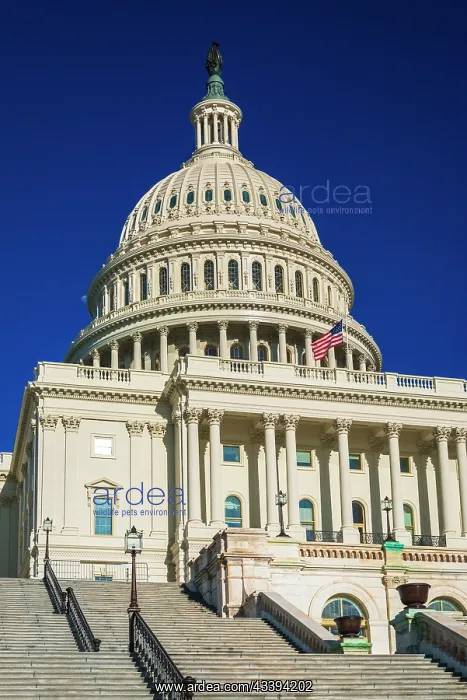 : The United States Capitol, Washington, D.C, USA : The United States Capitol, Washington, D.C, USA