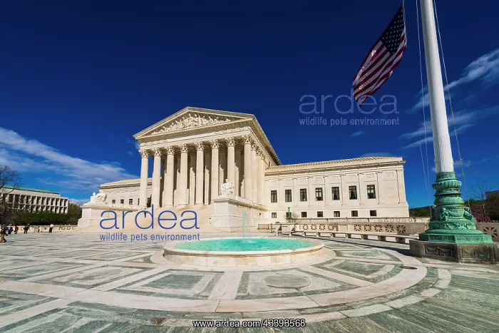 : The United States Supreme Court, Washington, D.C : The United States Supreme Court, Washington, D.C