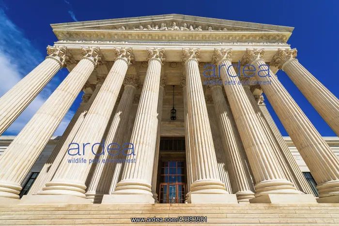 : The United States Supreme Court, Washington, D.C : The United States Supreme Court, Washington, D.C