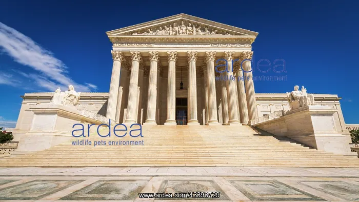 : The United States Supreme Court, Washington, D.C : The United States Supreme Court, Washington, D.C