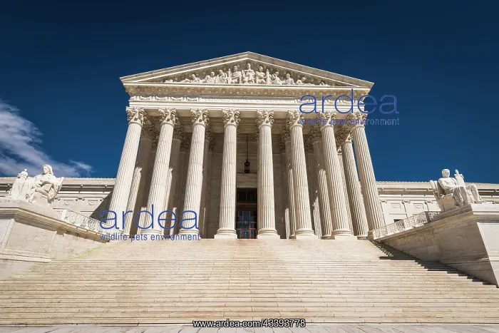 : The United States Supreme Court, Washington, D.C : The United States Supreme Court, Washington, D.C