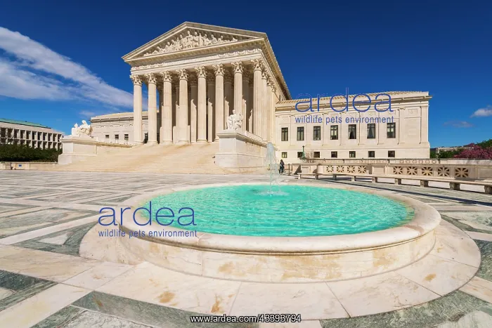 : The United States Supreme Court, Washington, D.C : The United States Supreme Court, Washington, D.C