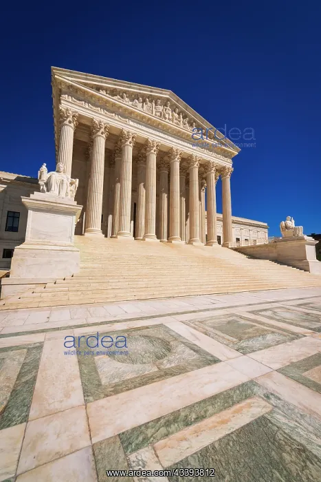 : The United States Supreme Court, Washington, D.C : The United States Supreme Court, Washington, D.C
